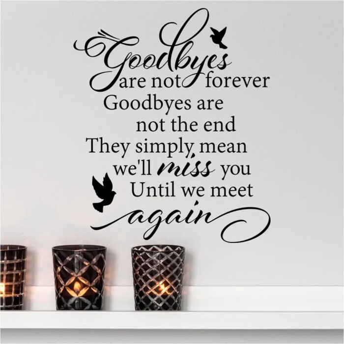 Goodbye are not Forever